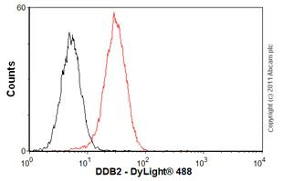 Flow Cytometry - Anti-DDB2 antibody [2246C4a] (AB51017)