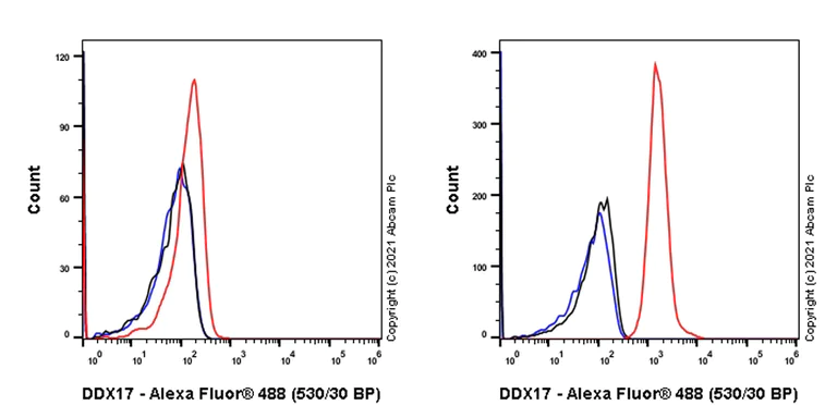 Flow Cytometry (Intracellular) - Anti-DDX17 antibody [EPR13807(B)] (AB180190)