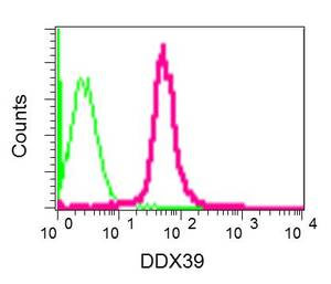 Flow Cytometry (Intracellular) - Anti-DDX39 antibody [EPR13508] (AB180857), expandable thumbnail
