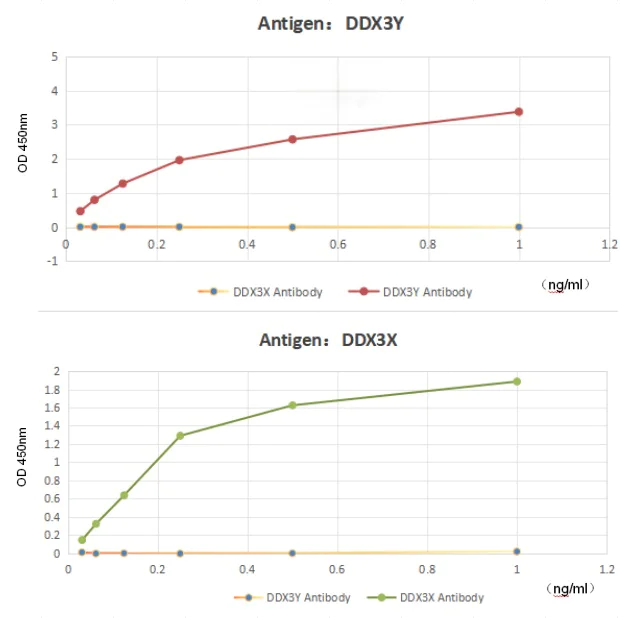 Indirect ELISA - Anti-DDX3Y antibody (AB196663)