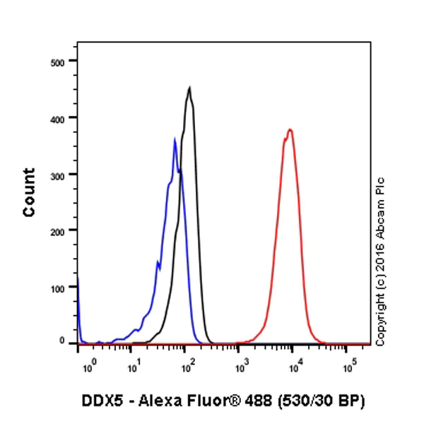 Flow Cytometry (Intracellular) - Anti-DDX5 antibody [EPR7239] - BSA and Azide free (AB240028)