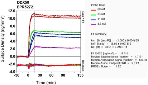 OI-RD Scanning - Anti-DDX50 antibody [EPR5272] (AB133507)