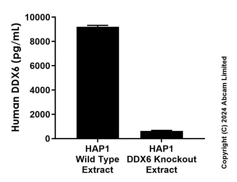 Sandwich ELISA - Anti-DDX6 antibody [EPR27016-137] - BSA and Azide free (Capture) (AB316027)