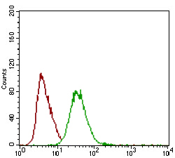 Flow Cytometry - Anti-Decorin antibody [5E8E7] (AB181456)