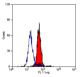 Flow Cytometry - Anti-Dectin-1 antibody [2A11] (AB53427)