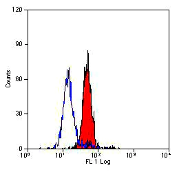Flow Cytometry - Anti-Dectin-1 antibody [2A11] (AB53427)