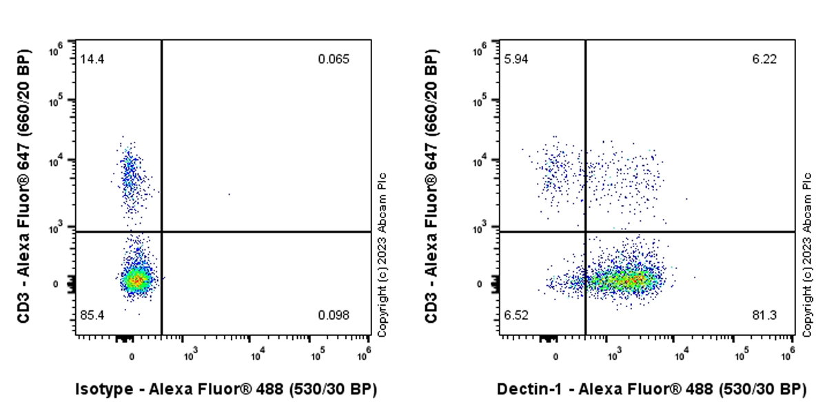 Flow Cytometry - Anti-Dectin-1 antibody [EPR28032-27] (AB311845), expandable thumbnail
