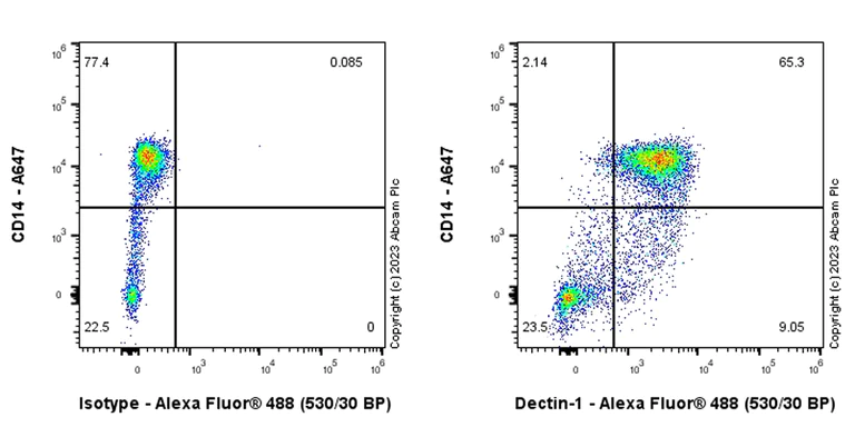 Flow Cytometry - Anti-Dectin-1 antibody [EPR28032-27] - BSA and Azide free (AB311846)