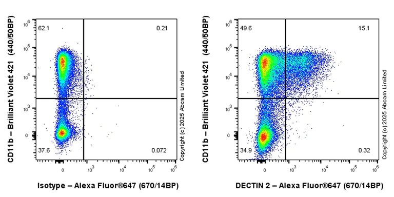 Flow Cytometry - Anti-DECTIN 2 antibody [EPR30285-562] - BSA and Azide free (AB325354)