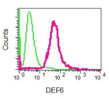 Flow Cytometry (Intracellular) - Anti-DEF6 antibody [EPR7492] - BSA and Azide free (AB248188)