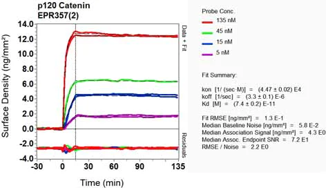 OI-RD Scanning - Anti-delta 1 Catenin/CAS antibody [EPR357(2)] (AB92514)