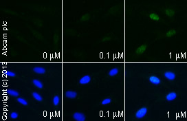 Deltamethrin, protein phosphatase 2B inhibitor