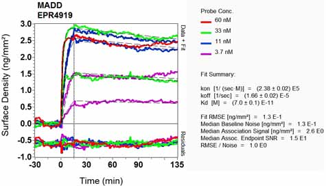 OI-RD Scanning - Anti-DENN antibody [EPR4919] (AB134117), expandable thumbnail