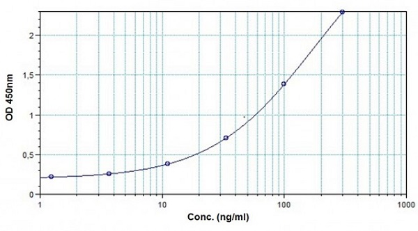 Sandwich ELISA - Denosumab ELISA Kit (AB237649)