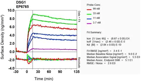 OI-RD Scanning - Anti-Desmoglein 1/DSG1 antibody [EP6765] - BSA and Azide free (AB284807)