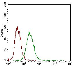 Flow Cytometry - Anti-Desmoglein 3/PVA antibody [6G2C11] (AB201968)