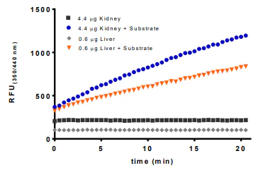 Functional Studies - Deubiquitinase Assay Kit (AB241002)