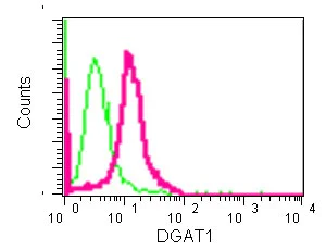 Flow Cytometry (Intracellular) - Anti-DGAT1 antibody [EPR13430-4] - BSA and Azide free (AB240250)