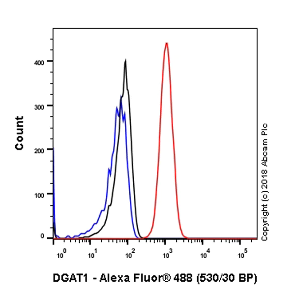 Flow Cytometry (Intracellular) - Anti-DGAT1 antibody [EPR13430-4] - N-terminal (AB181180)
