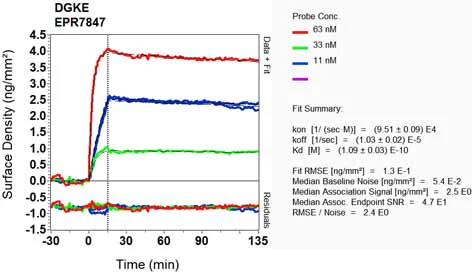 OI-RD Scanning - Anti-DGKE antibody [EPR7847] (AB128949)