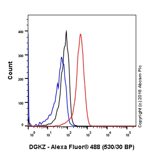 Flow Cytometry (Intracellular) - Anti-DGKZ/DGK-zeta antibody [EPR22040-72] (AB239080)