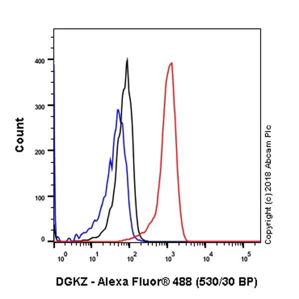 Flow Cytometry (Intracellular) - Anti-DGKZ/DGK-zeta antibody [EPR22040-80] - BSA and Azide free (AB239790)