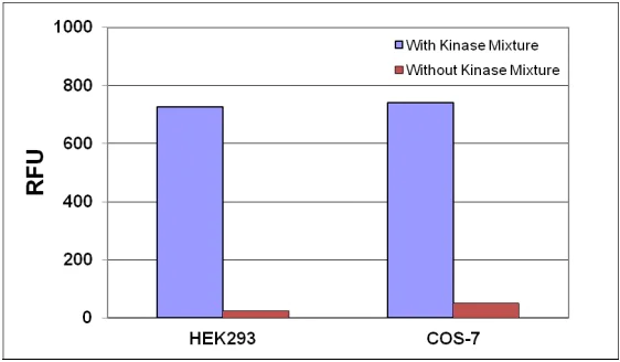 Functional Studies - Diacylglycerol Assay Kit (AB242293)