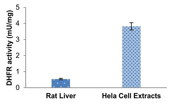 Functional Studies - Dihydrofolate Reductase Assay Kit (Colorimetric) (AB239705)