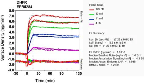 OI-RD Scanning - Anti-Dihydrofolate reductase (DHFR) antibody [EPR5284] - BSA and Azide free (AB248545)