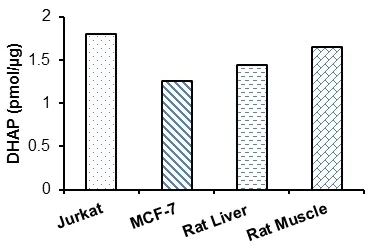 Functional Studies - Dihydroxyacetone Phosphate (DHAP) Assay Kit (Fluorometric) (AB197003)