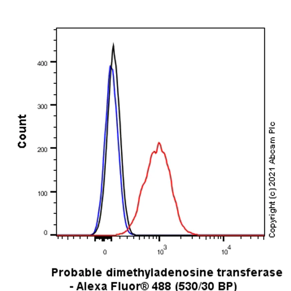 Flow Cytometry (Intracellular) - Anti-DIMT1L antibody [EPR24385-100] - BSA and Azide free (AB282282)