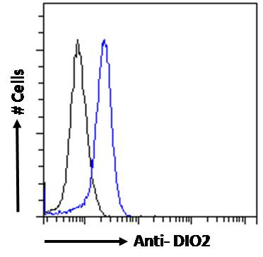 Flow Cytometry (Intracellular) - Anti-DIO2 antibody (AB77481)