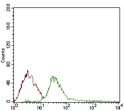 Flow Cytometry - Anti-DIS3L2 antibody [6C7B2] (AB181743)