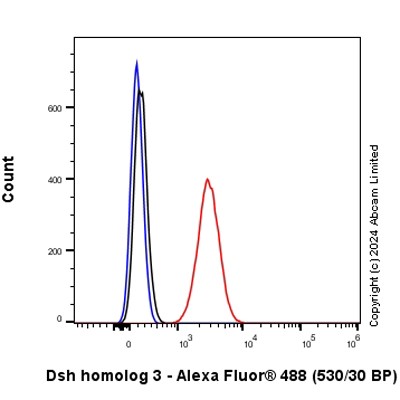 Flow Cytometry (Intracellular) - Anti-Dishevelled 3 antibody [EP1991Y] - BSA and Azide free (AB284737), expandable thumbnail