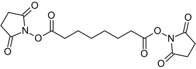 Chemical Structure - Disuccinimidyl suberate, cross-linking reagent (AB141274)