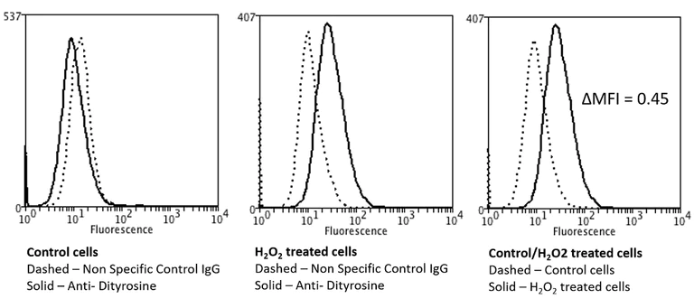 Flow Cytometry - Anti-Dityrosine antibody [10A6] (AB243067)