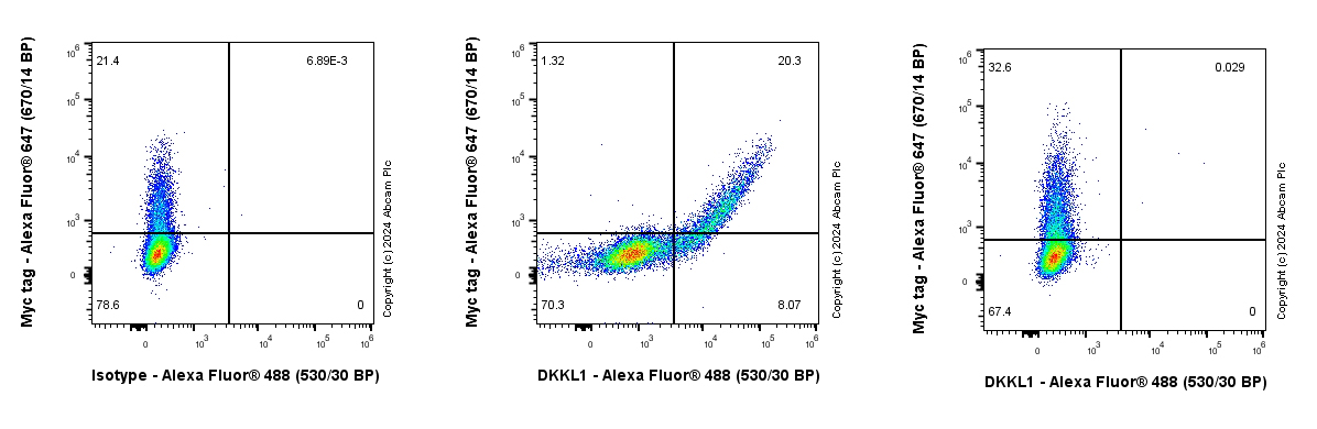 Flow Cytometry (Intracellular) - Anti-DKKL1 antibody [EPR25721-68] (AB316308), expandable thumbnail