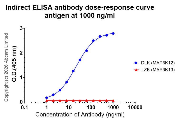 Indirect ELISA - Anti-DLK (MAP3K12) antibody [EPR30420-541] (AB325176)