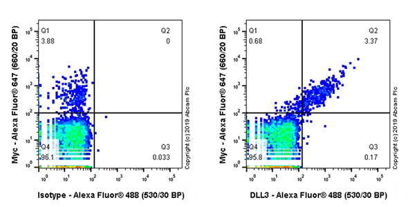 Flow Cytometry (Intracellular) - Anti-DLL3 antibody [EPR22592-18] - BSA and Azide free (ab255694), expandable thumbnail