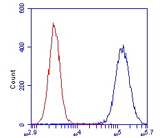 Flow Cytometry - Anti-DLST antibody [9F4BD5] (AB110306), expandable thumbnail