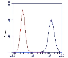 Flow Cytometry - Anti-DLST antibody [9F4BD5] (AB110306)