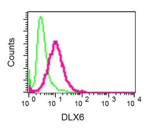 Flow Cytometry (Intracellular) - Anti-Dlx6 antibody [EPR9474] - BSA and Azide free (AB248804)