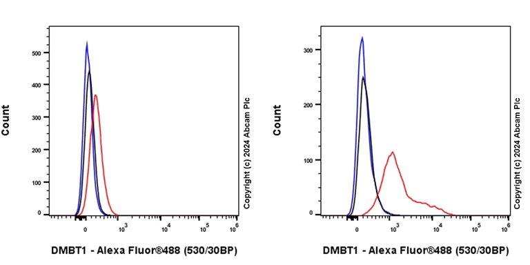 Flow Cytometry (Intracellular) - Anti-DMBT1 antibody [EPR25722-10] - BSA and Azide free (AB316186)