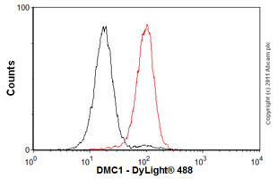 Flow Cytometry - Anti-DMC1 antibody [2H12/4] (AB11054), expandable thumbnail
