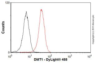 Flow Cytometry - Anti-DMT1 antibody [4C6] (AB55735)