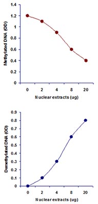 Functional Studies - DNA demethylase (total) Activity Quantification Assay Kit (AB113472), expandable thumbnail