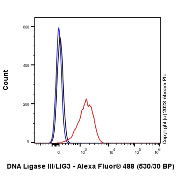 Flow Cytometry (Intracellular) - Anti-DNA Ligase III/LIG3 antibody [EPR27265-44] - BSA and Azide free (AB313375)