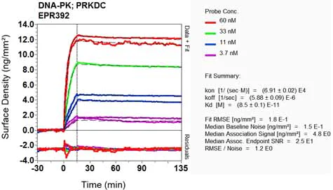 OI-RD Scanning - Anti-DNA PKcs antibody [EPR392] (AB133516)
