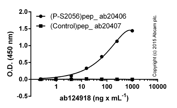 ELISA - Anti-DNA PKcs (phospho S2056) antibody [EPR5670] (ab124918), expandable thumbnail