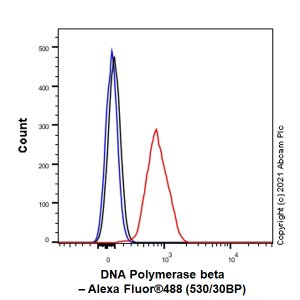 Flow Cytometry - Anti-DNA Polymerase beta antibody [EPR12722(B)] - BSA and Azide free (AB249852), expandable thumbnail